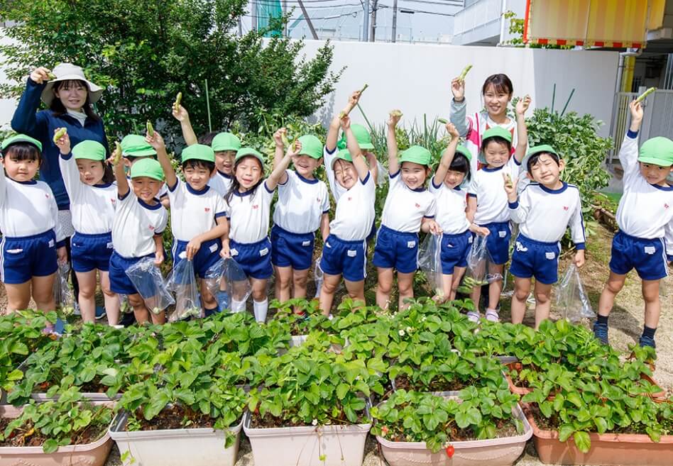 이렇게 많이 자랐어! 정원 텃밭